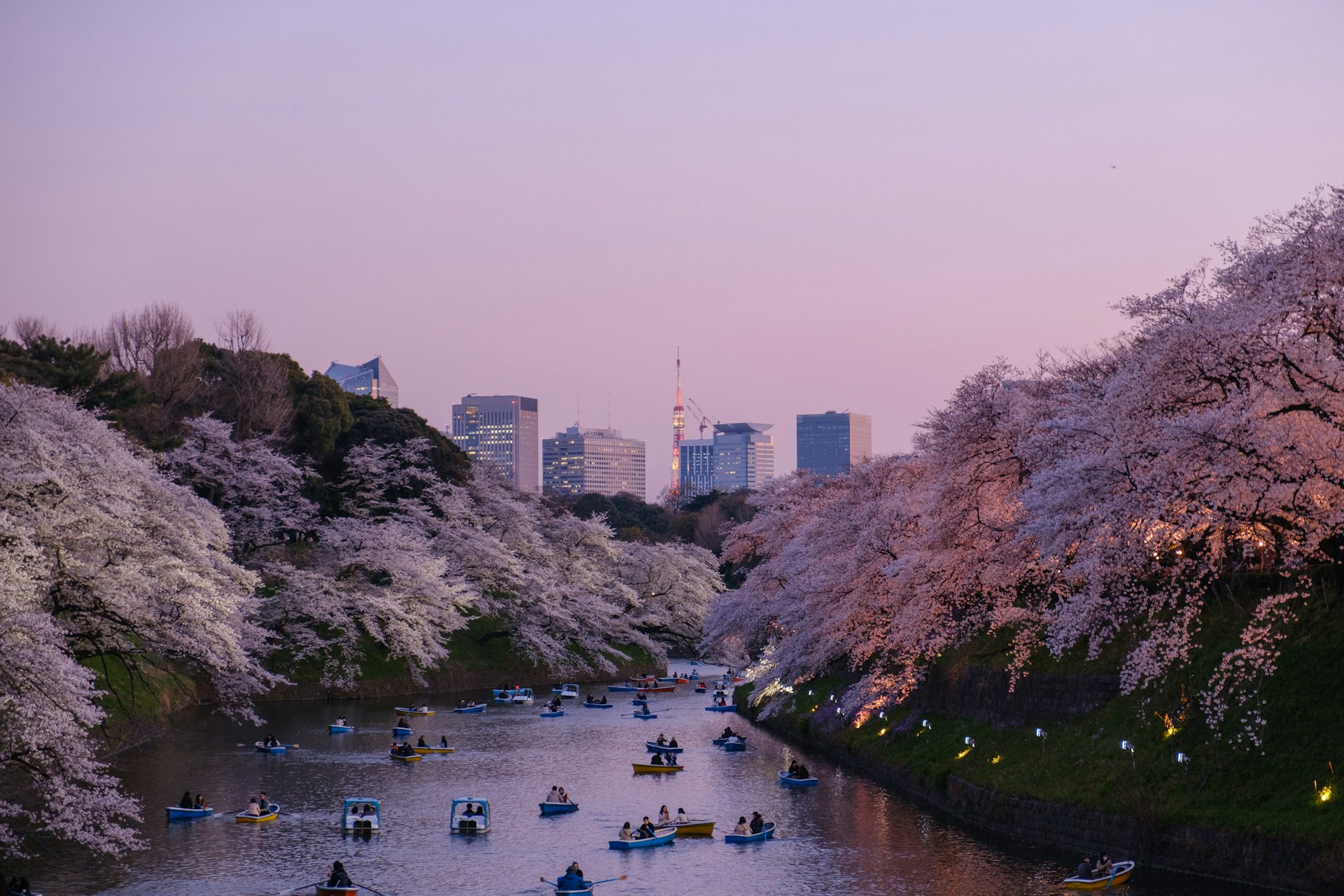 I like japan, I'd love to visit it someday I like japan, I'd love to visit it someday